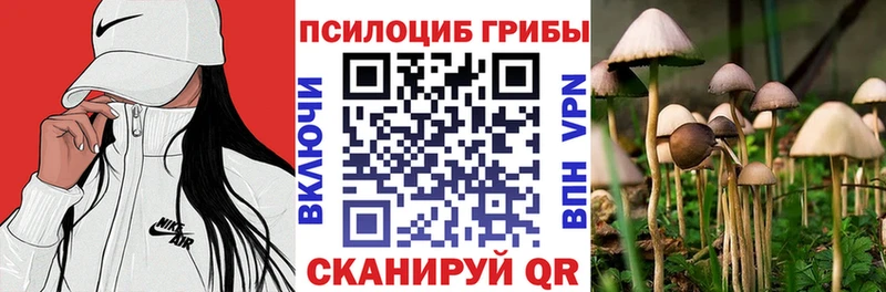 кракен как зайти  Истра  Галлюциногенные грибы мухоморы  где купить  